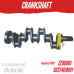 CRANKSHAFT FOR BOBCAT A4.236 / A4.248 LIP SEAL ZZ90081 3637401M91 943 953 970 974