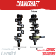 CRANKSHAFT FOR LANDINI A4.236 / A4.248 LIP SEAL ZZ90082 3637402M91 6500 7550 R8500