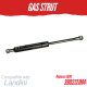 Gas Strut Door for Landini
