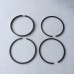 LANDINI PISTON KIT W/ CAST LINER AD3.152 U5MK0117 5500 5530 5530F 5830 5840 