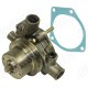 Water Pump for Landini Water Pump for Landini
