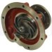 Water Pump for Merlo