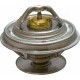 Thermostat for Landini Thermostat for Landini
