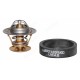 Thermostat for Case - IH Thermostat for Case - IH