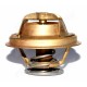 Thermostat for Landini Thermostat for Landini