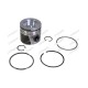 Piston & Rings - STD for Case-IH Piston & Rings - STD for Case-IH