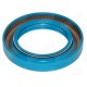 Oil Seal for Case - IH