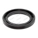 Oil Seal for Landini