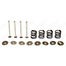 Brake Pin Kit for Massey Ferguson - 405-1