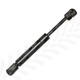 Gas Strut Door for Landini