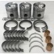 MAJOR ENGINE OVERHAUL KIT FOR DAVID BROWN AD3/49A 770 MAJOR ENGINE OVERHAUL KIT FOR DAVID BROWN AD3/49A 770